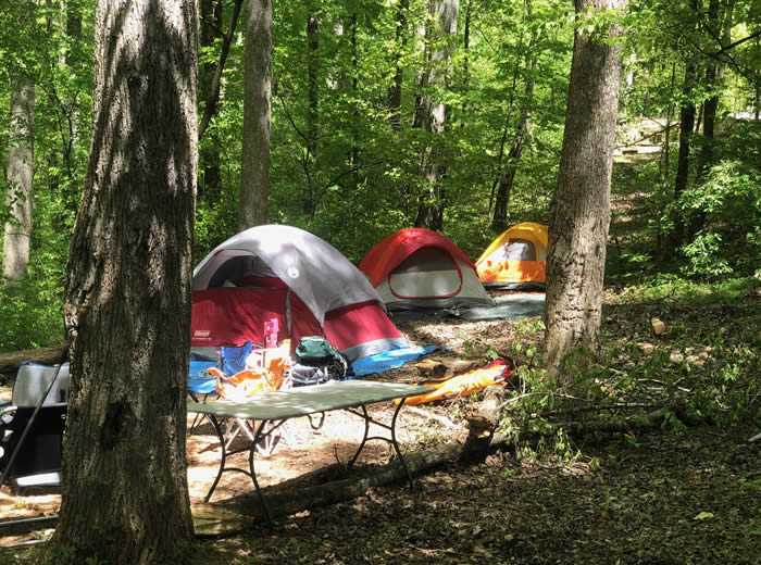 Tent Camping Norris Lake