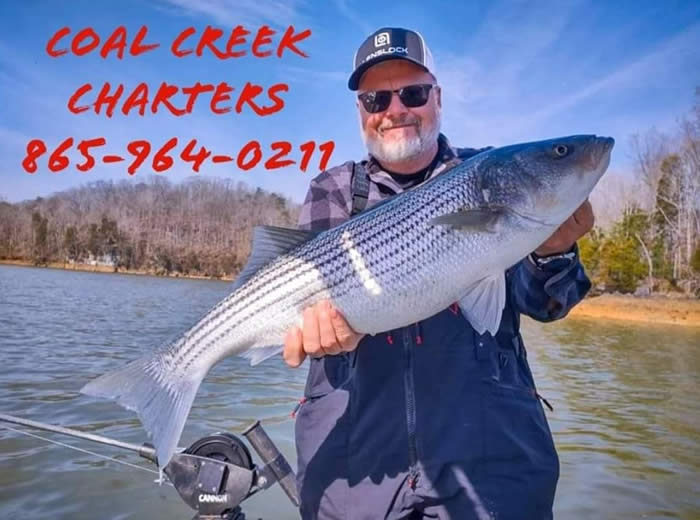 Coal Creek Charters Norris Lake TN