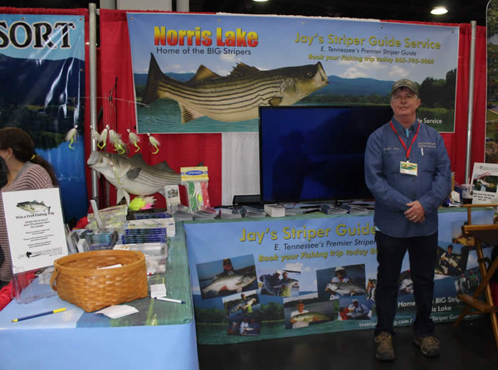 Hoggs Striper Fishing Norris Lake TN