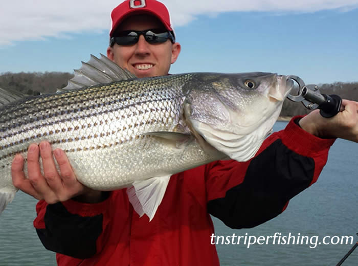 TN Striper Fishing