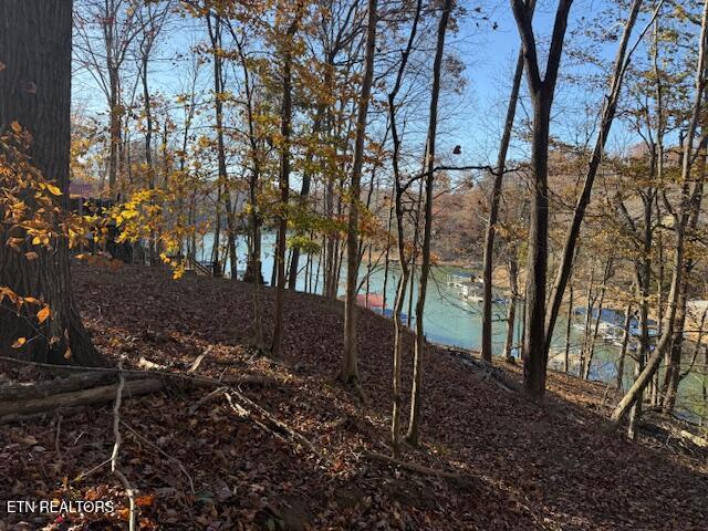 Deer Run Place, Lafollette, TN - Norris Lake Real Estate - Image# 1