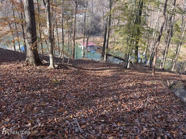 Deer Run Place, Lafollette, TN - Norris Lake Real Estate - Image# 2