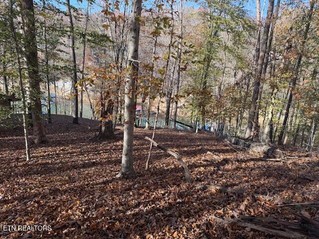 Deer Run Place, Lafollette, TN - Norris Lake Real Estate - Image# 3