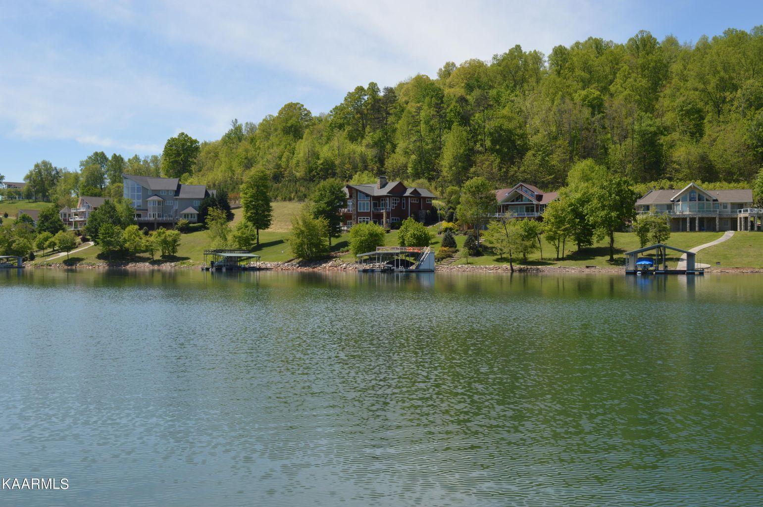 Norris Lake Real Estate - Image# 3