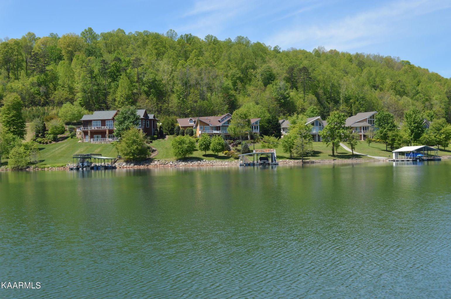 Norris Lake Real Estate - Image# 4
