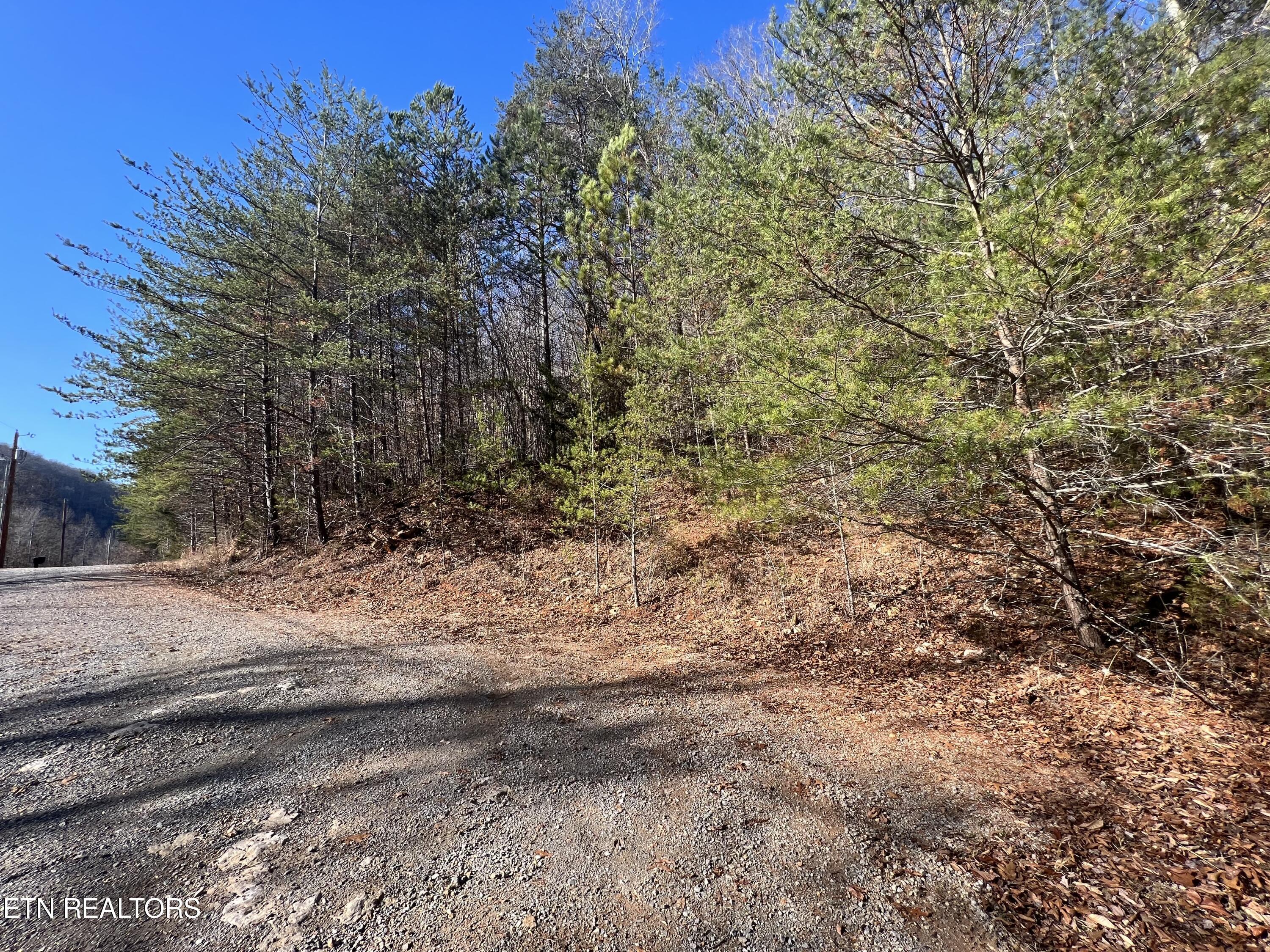 Norris Lake Real Estate - Image# 13