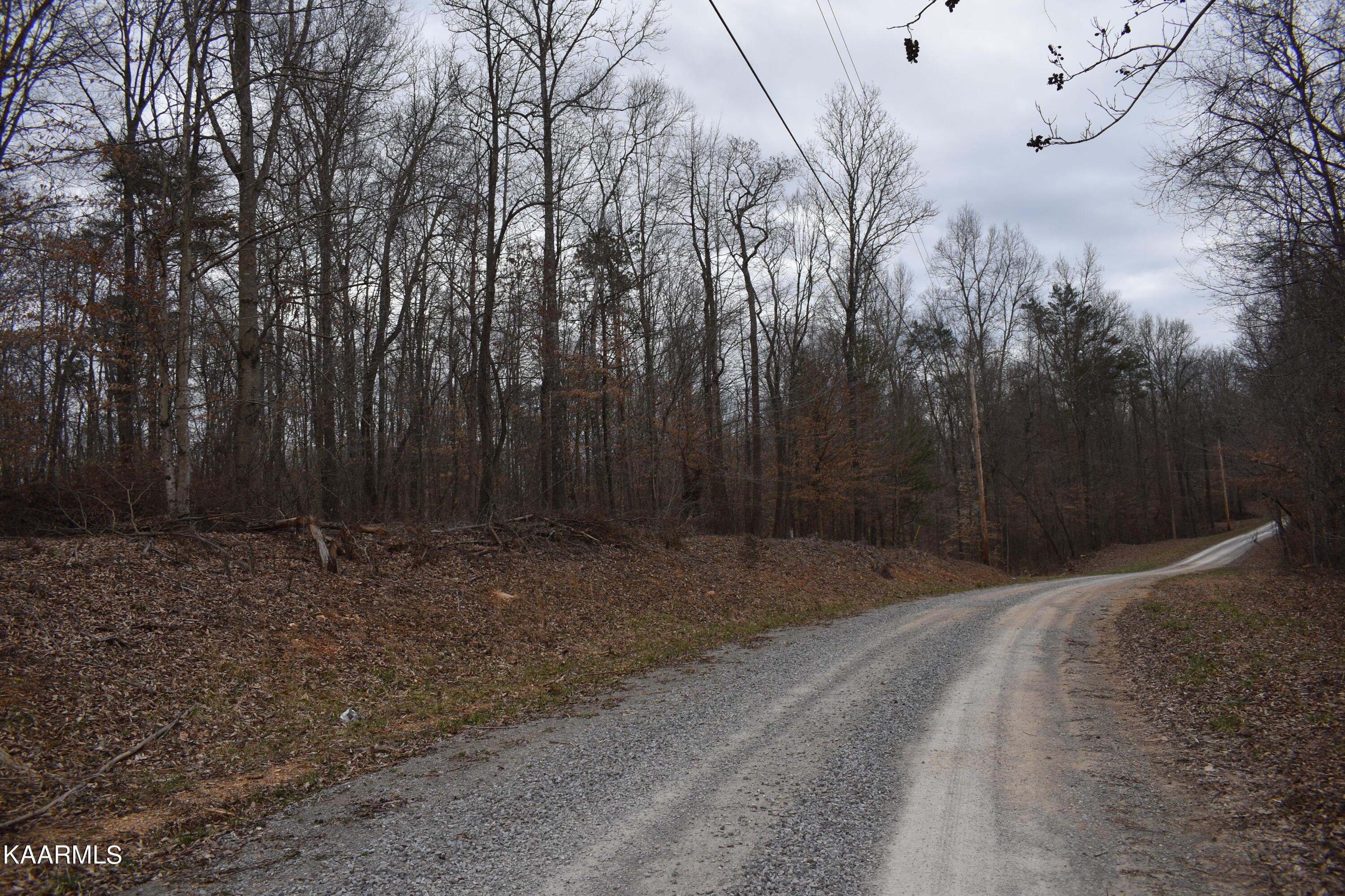 Norris Lake Real Estate - Image# 1