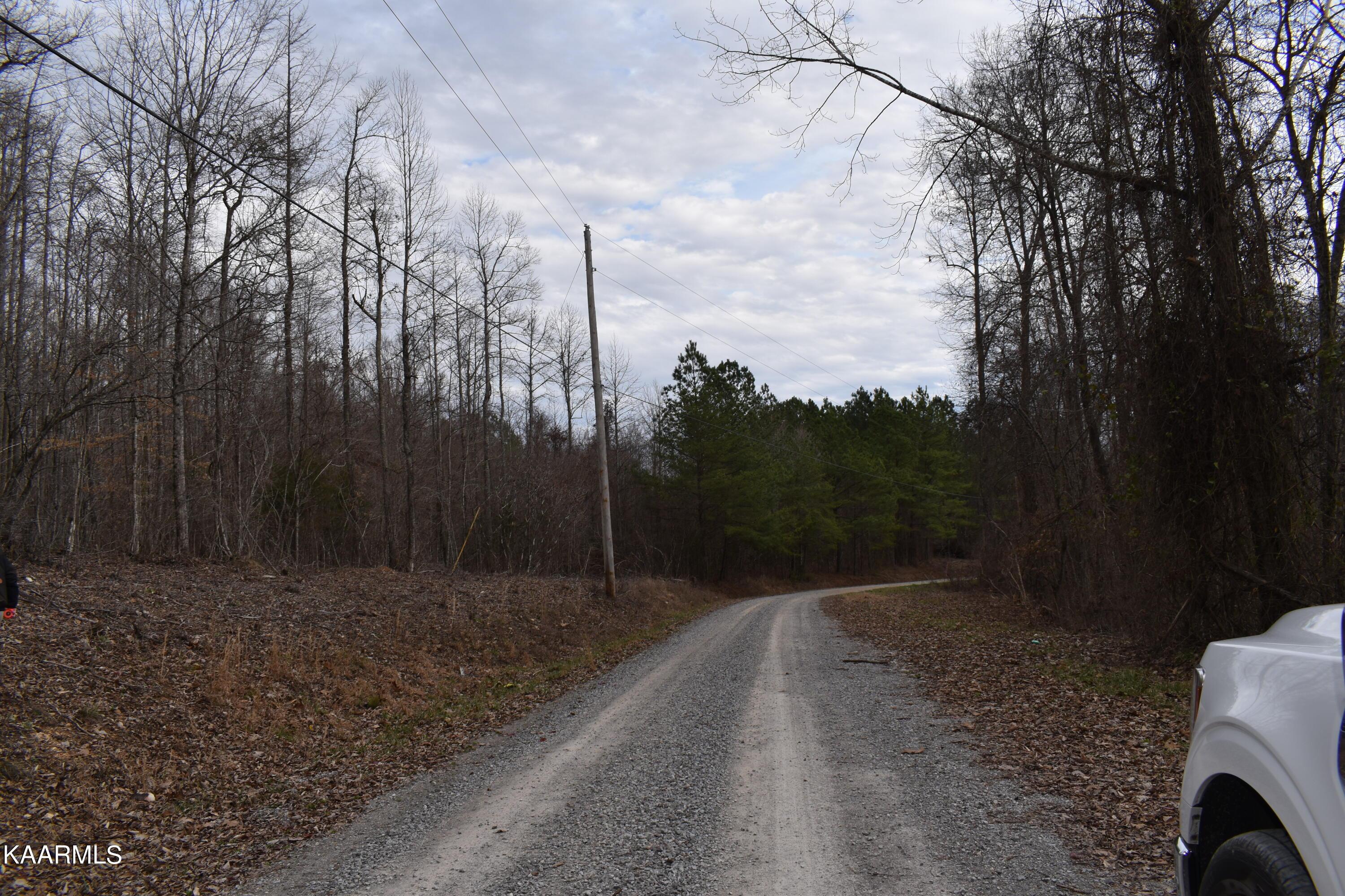 Norris Lake Real Estate - Image# 2