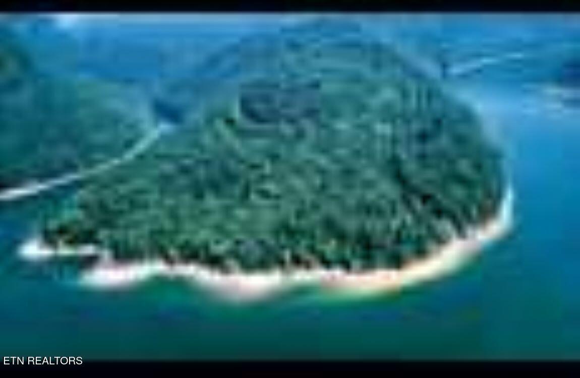 Norris Lake Real Estate - Image# 10