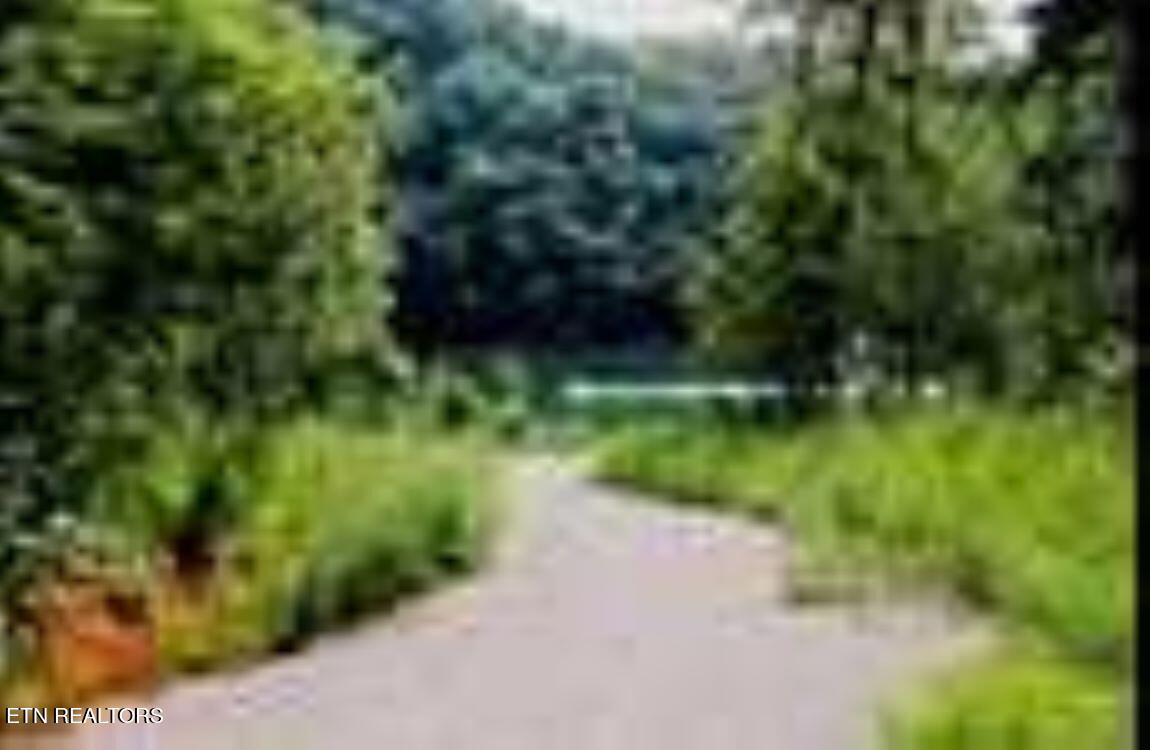 Norris Lake Real Estate - Image# 14