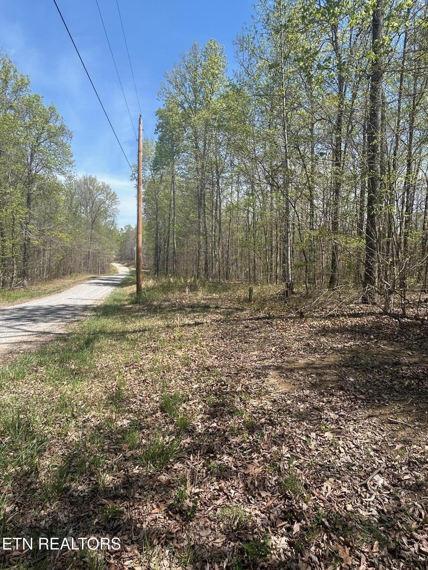 Norris Lake Real Estate - Image# 6