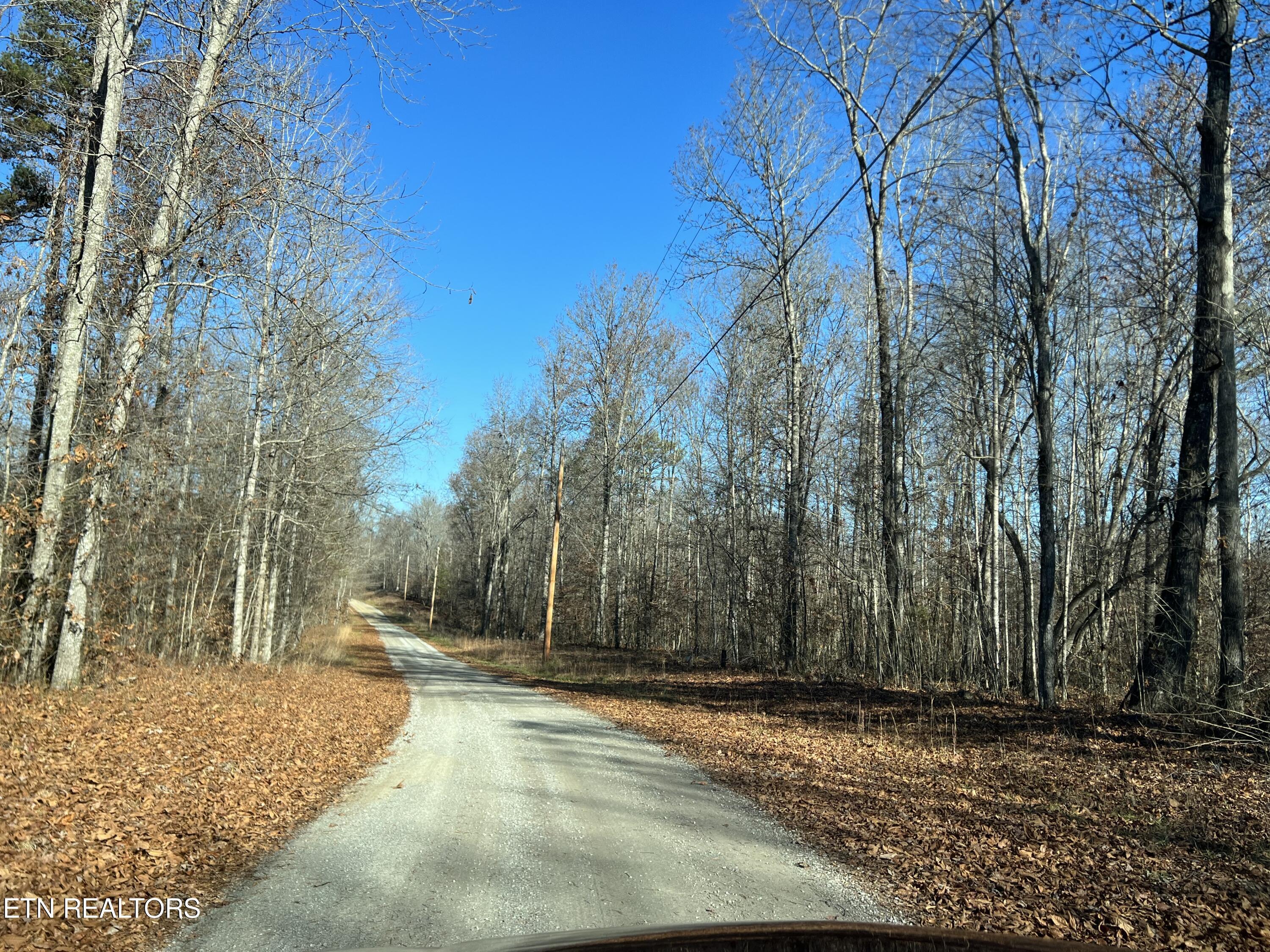 Norris Lake Real Estate - Image# 13