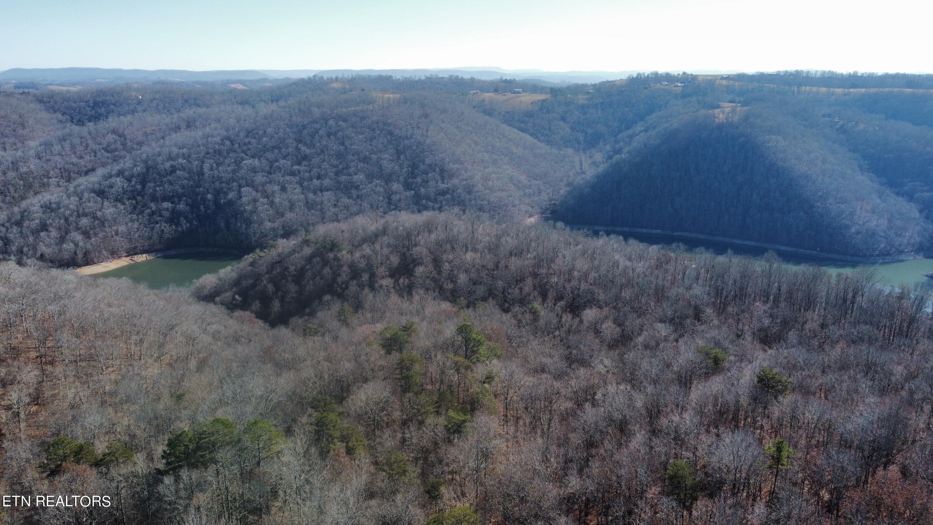 Norris Lake Real Estate - Image# 7