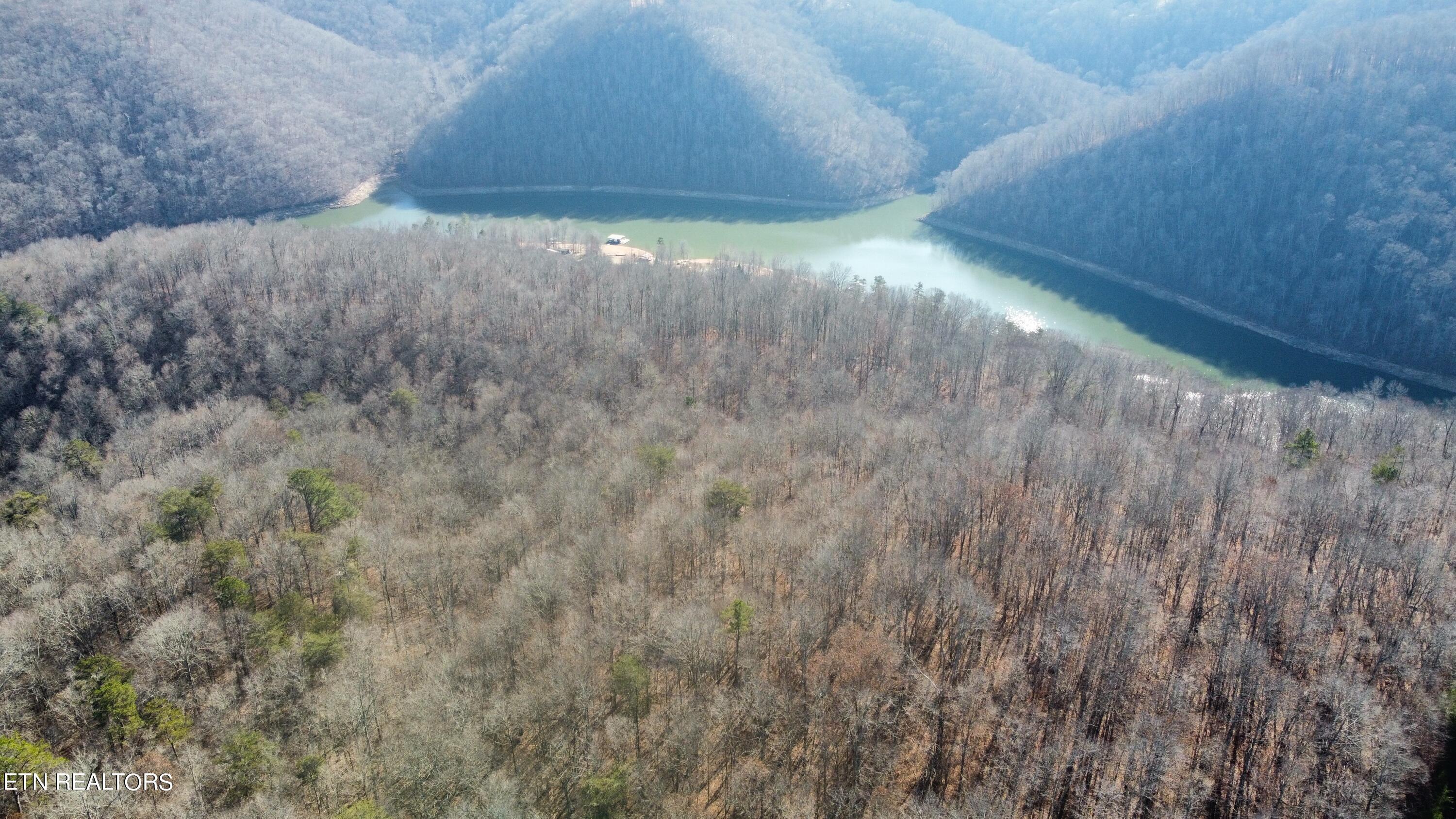 Norris Lake Real Estate - Image# 5