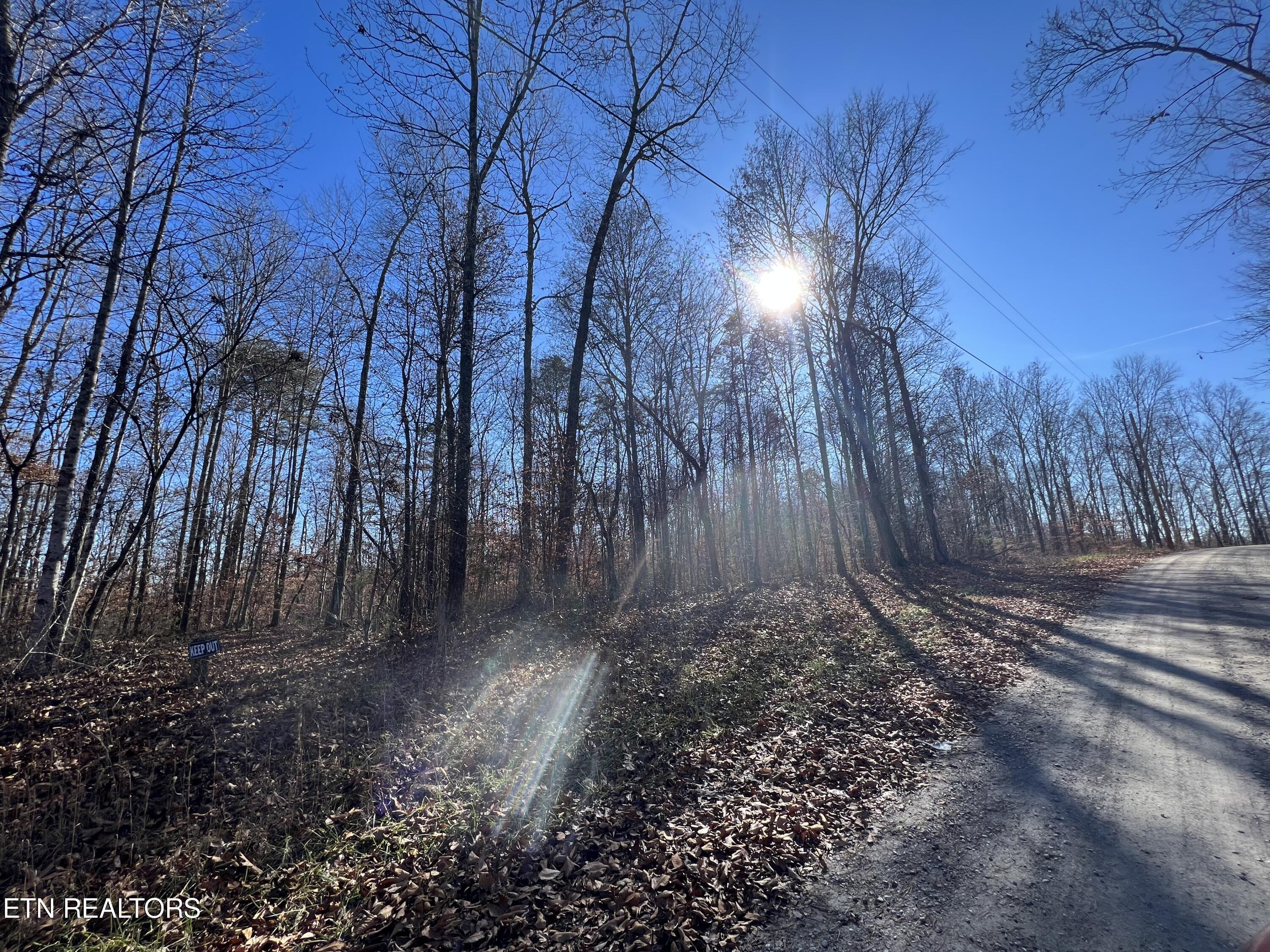 Norris Lake Real Estate - Image# 8