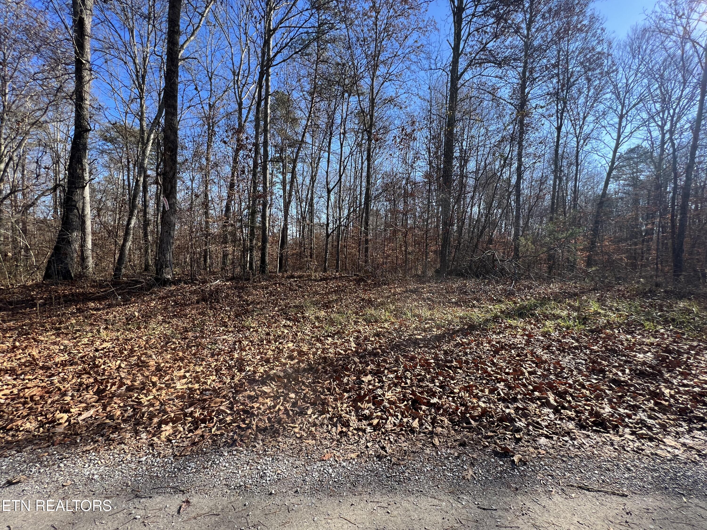 Norris Lake Real Estate - Image# 1