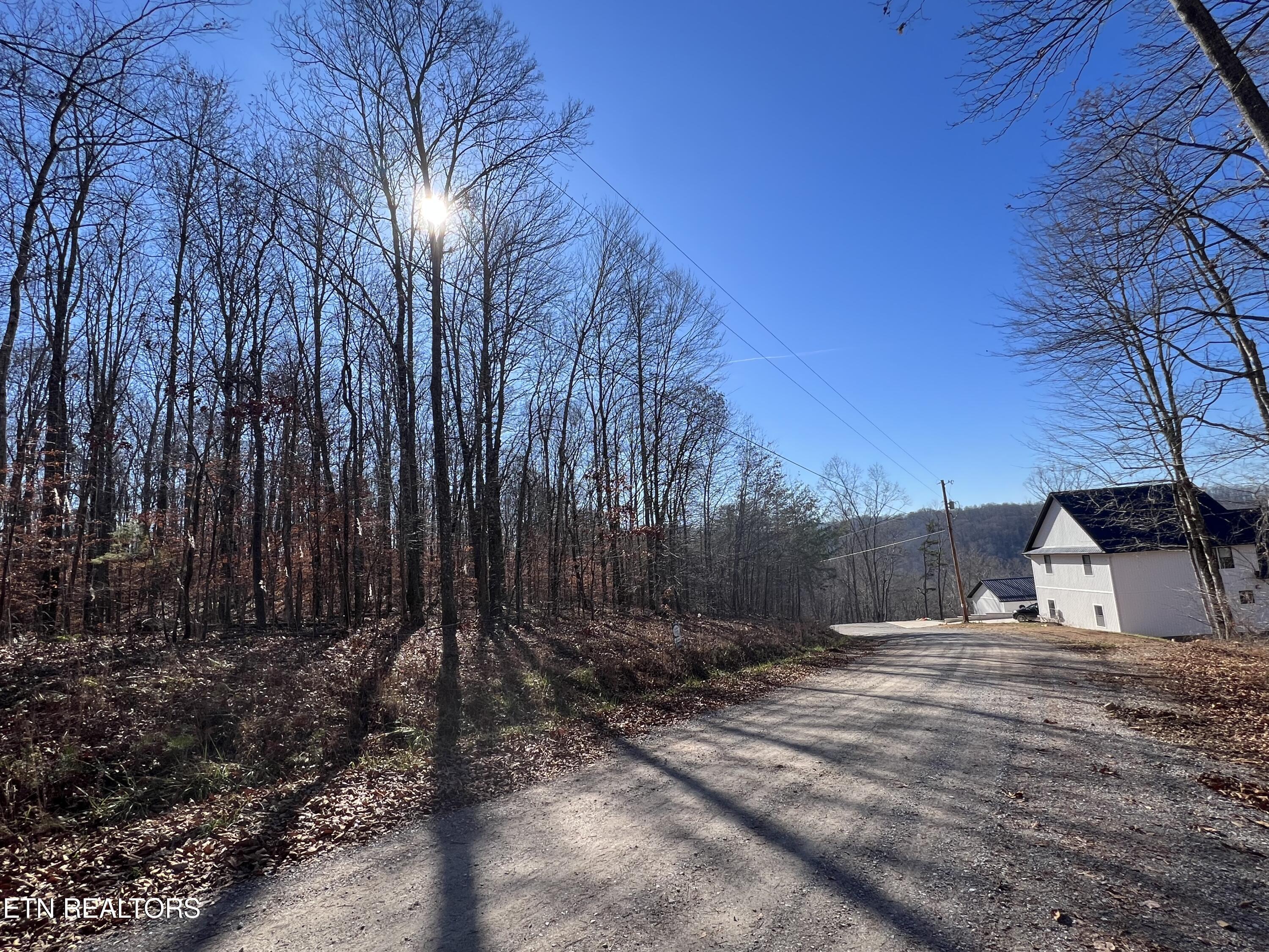 Norris Lake Real Estate - Image# 11