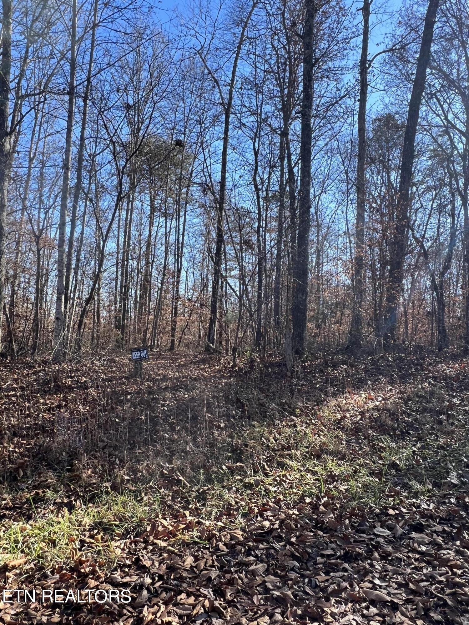 Norris Lake Real Estate - Image# 7