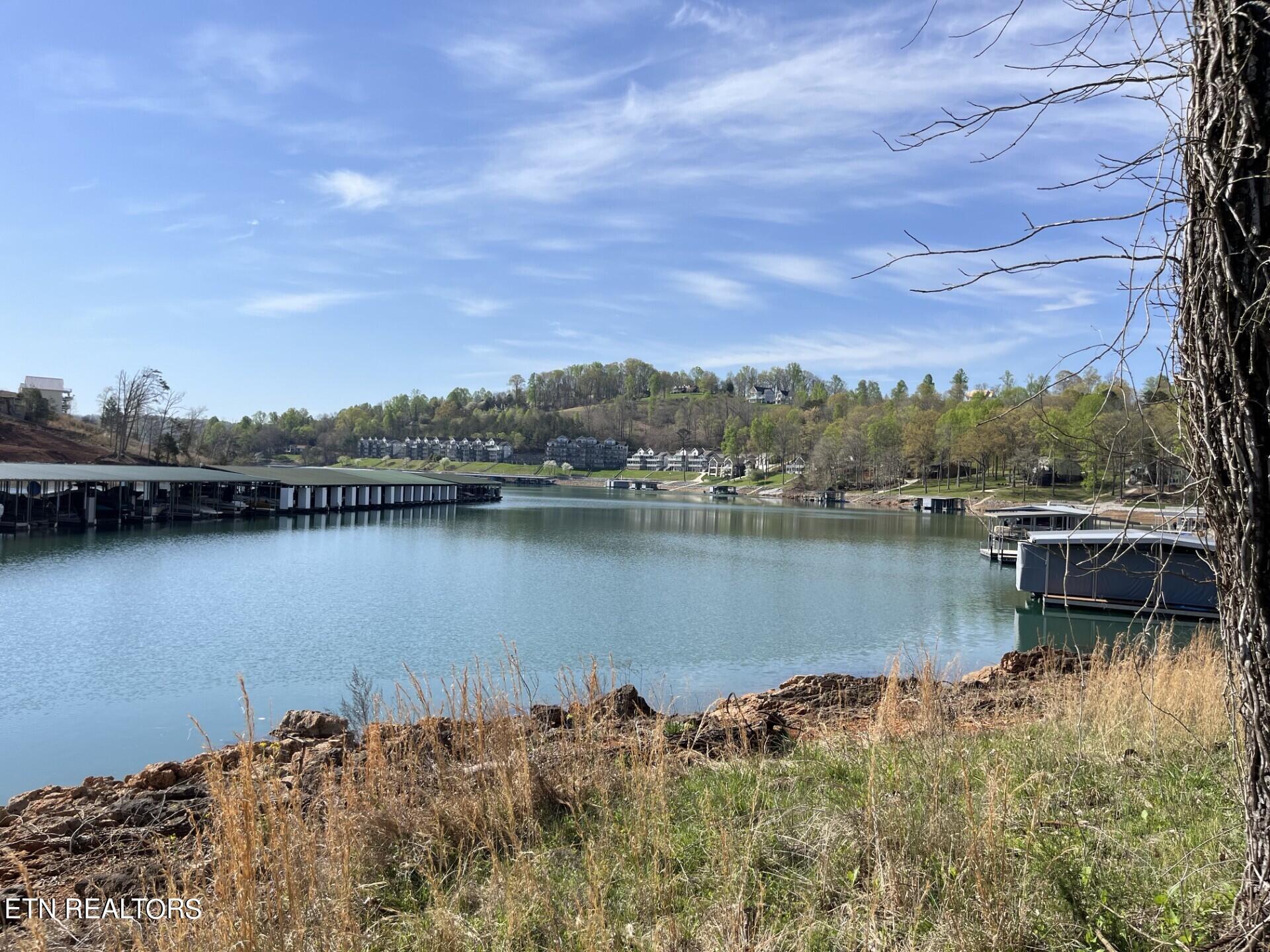Norris Lake Real Estate - Image# 2
