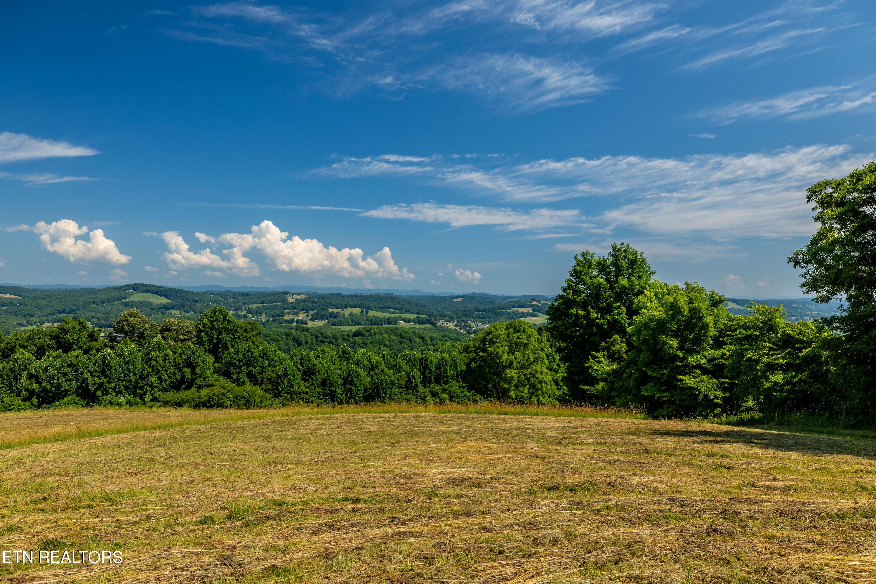 Norris Lake Real Estate - Image# 3