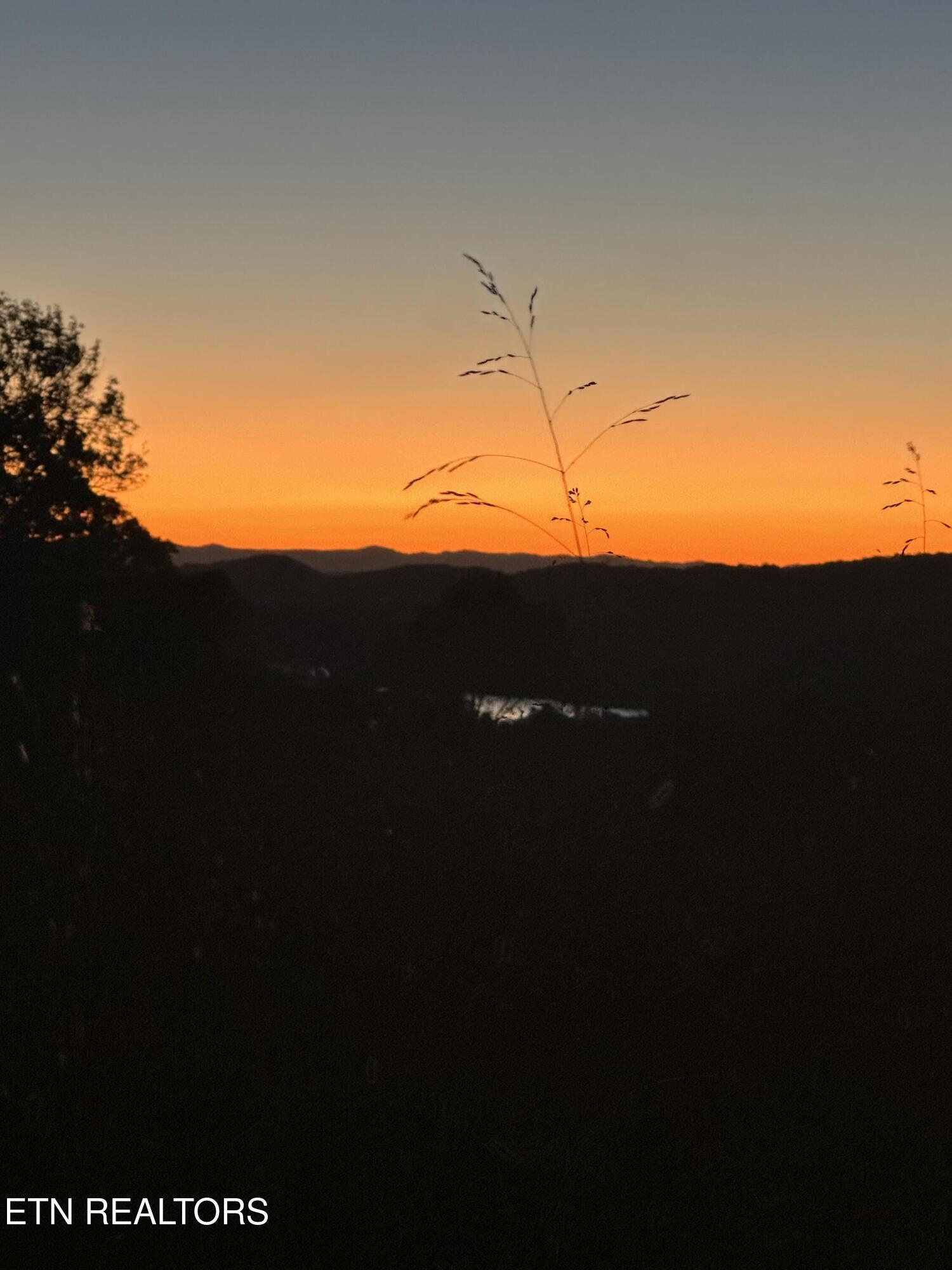 Norris Lake Real Estate - Image# 60