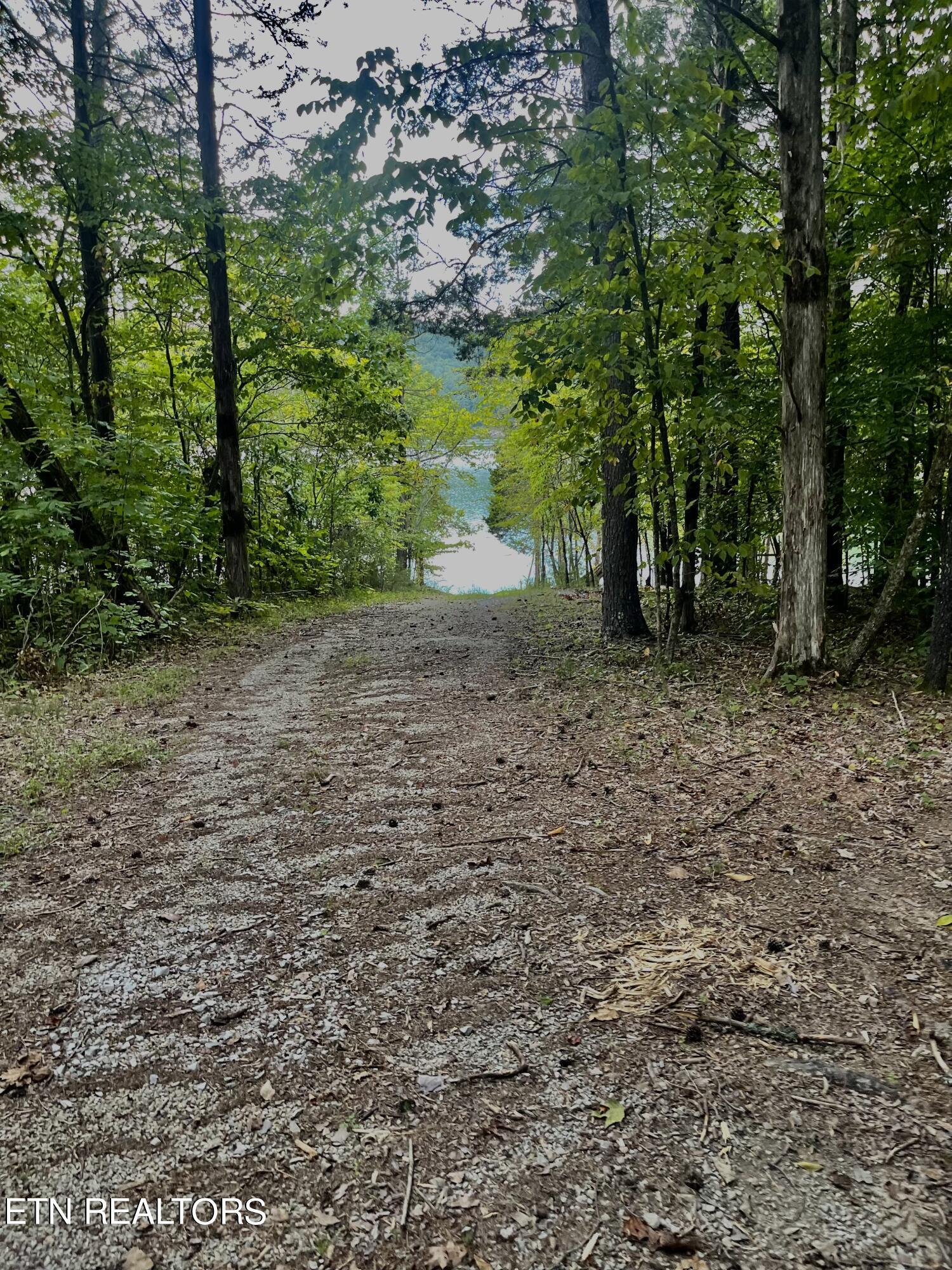 295 Bob Wright Rd, Maynardville, TN - Norris Lake Real Estate - Image# 35