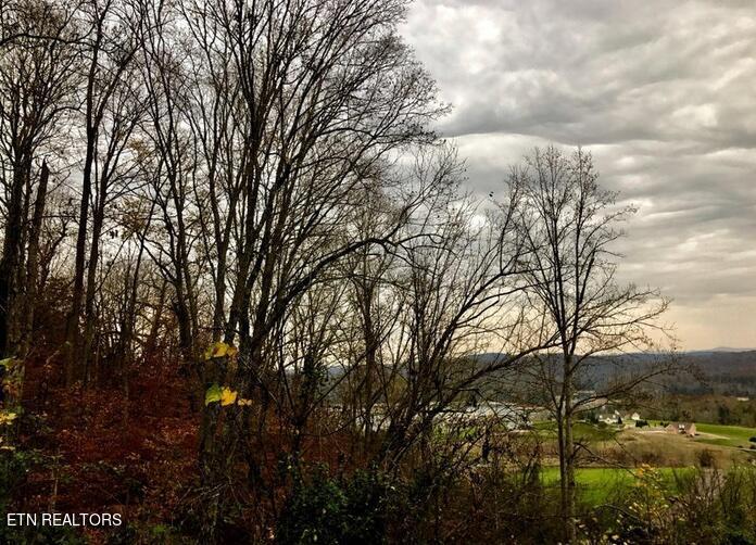 Norris Lake Real Estate - Image# 17