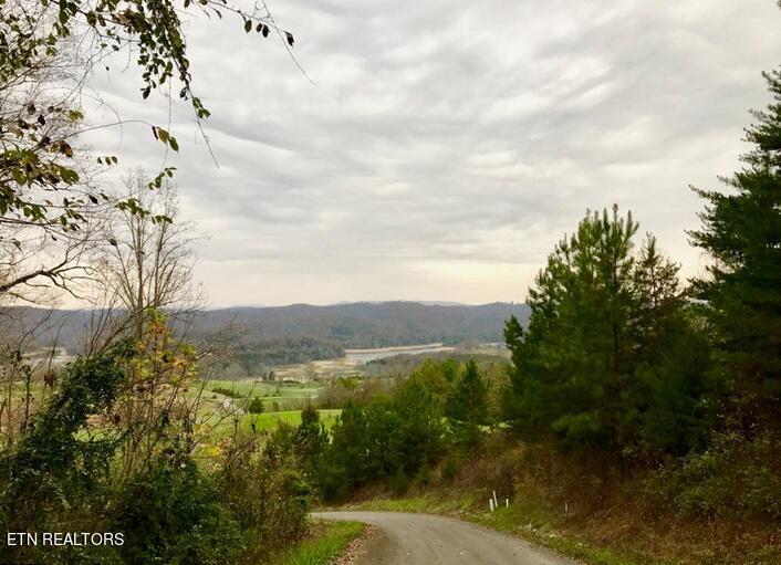 Norris Lake Real Estate - Image# 19