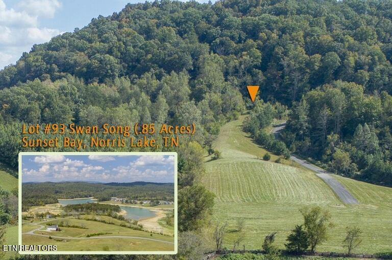 Norris Lake Real Estate - Image# 26