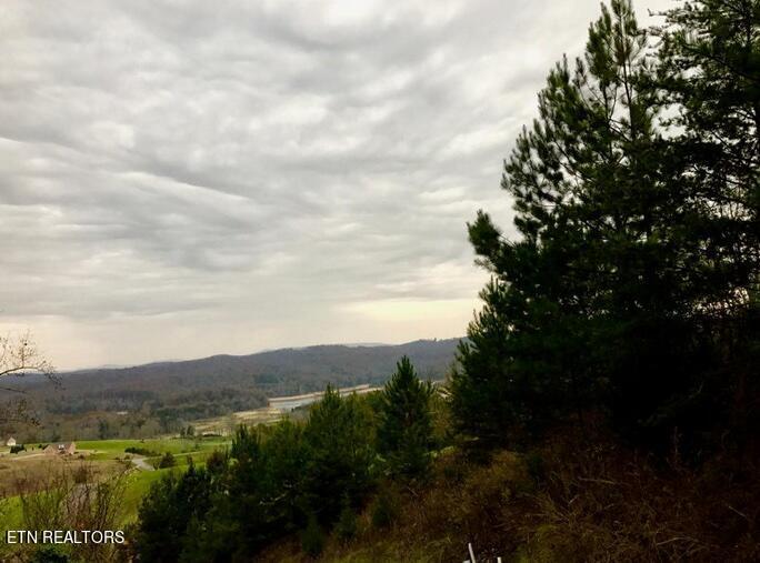 Norris Lake Real Estate - Image# 21