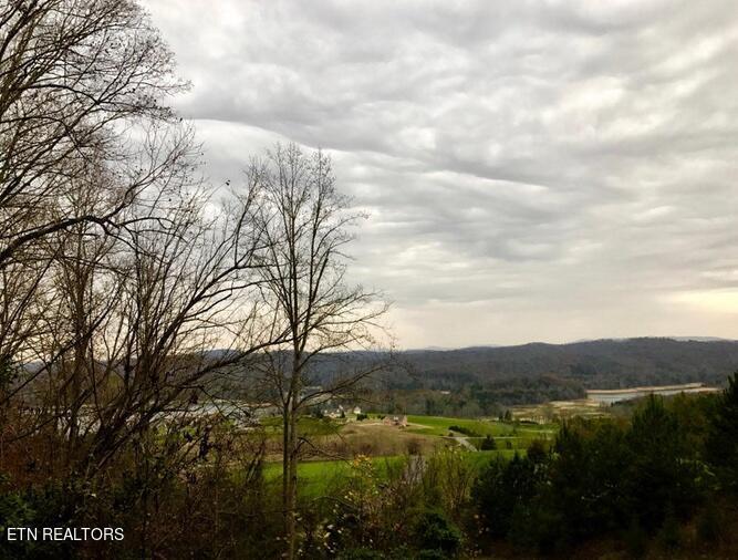 Norris Lake Real Estate - Image# 23