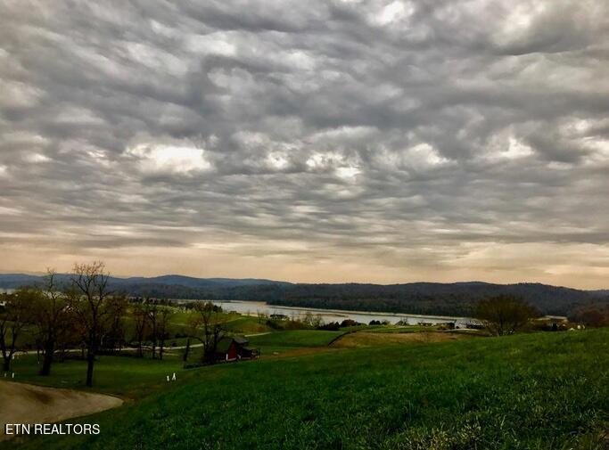Norris Lake Real Estate - Image# 24