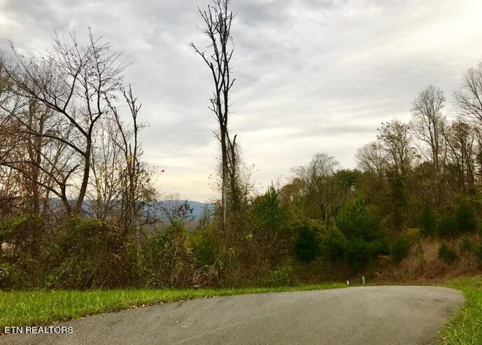 Norris Lake Real Estate - Image# 25