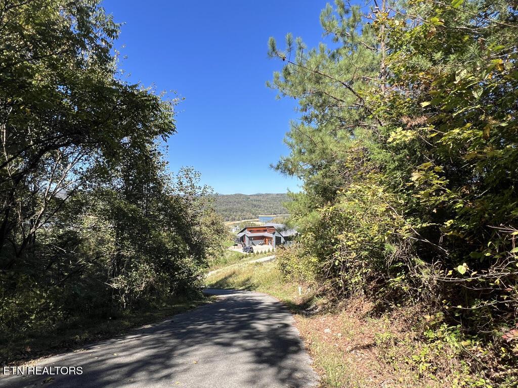 Norris Lake Real Estate - Image# 18