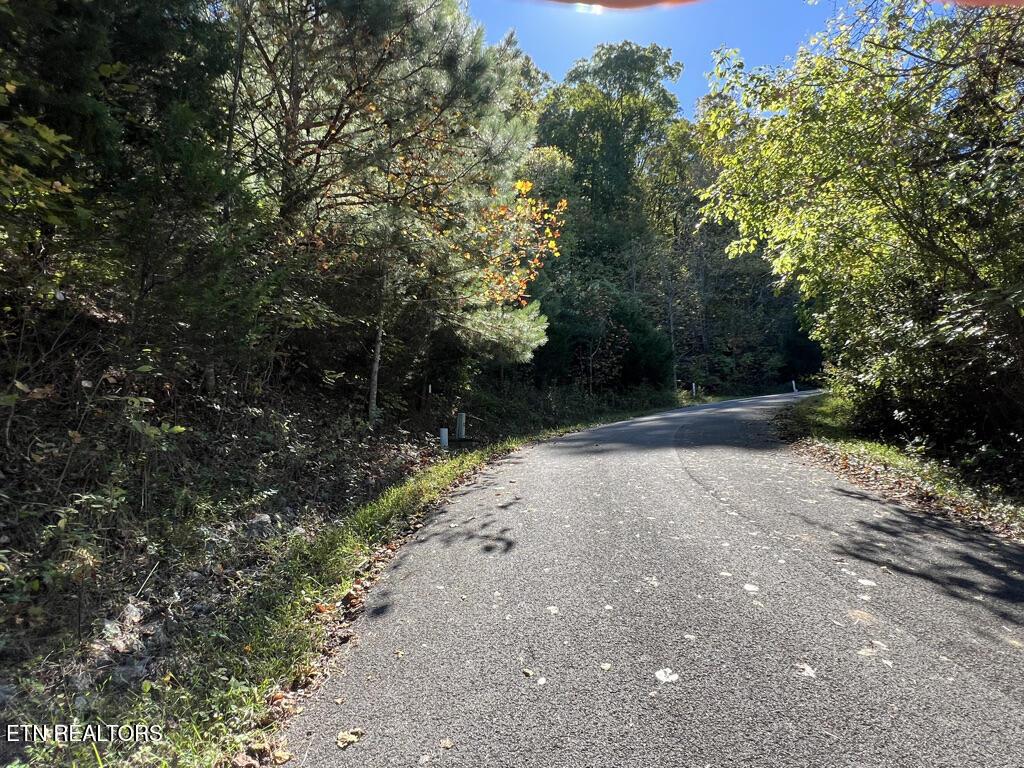 Norris Lake Real Estate - Image# 20