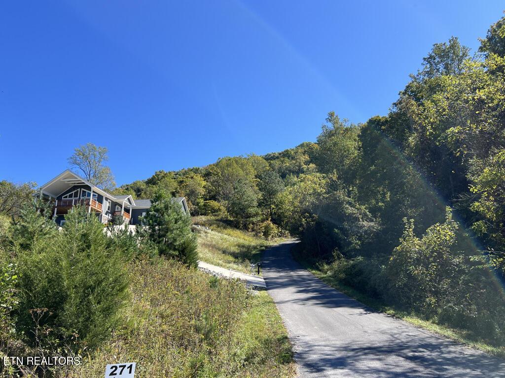 Norris Lake Real Estate - Image# 22