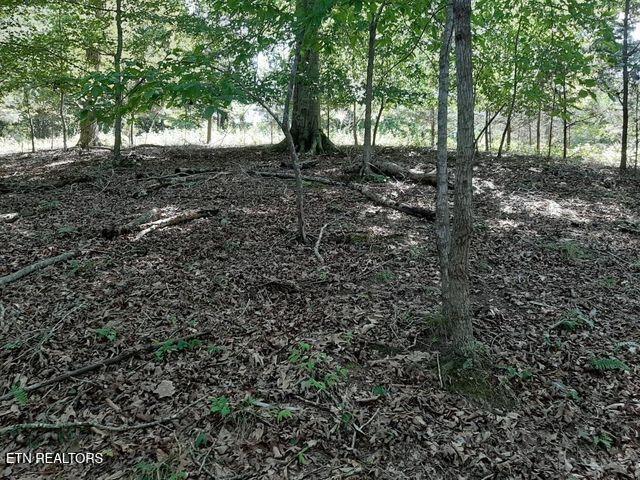 Norris Lake Real Estate - Image# 10
