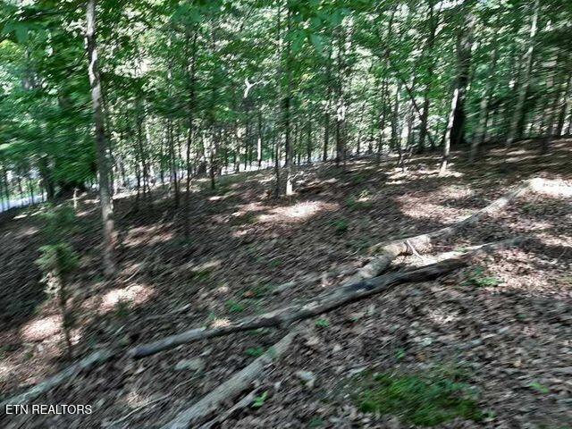 Norris Lake Real Estate - Image# 11