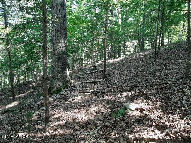 Norris Lake Real Estate - Image# 13