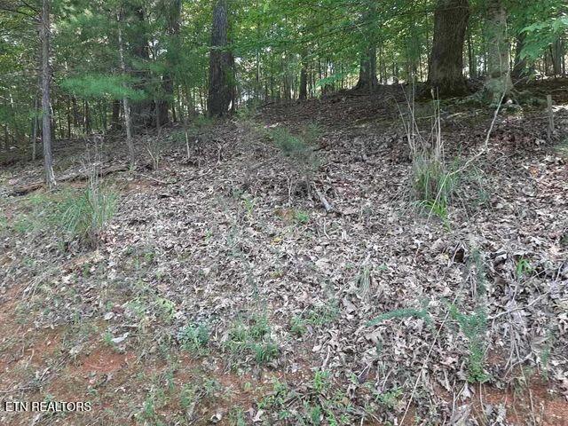 Norris Lake Real Estate - Image# 14