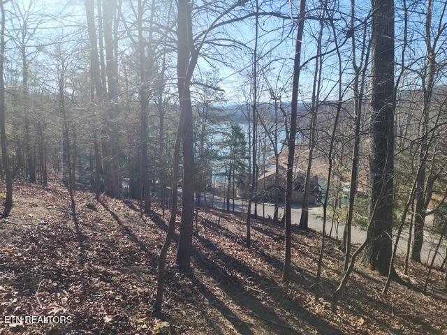 Norris Lake Real Estate - Image# 3