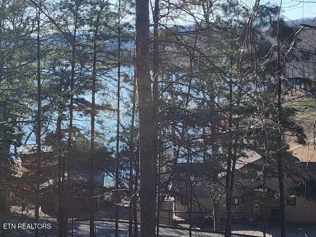 Norris Lake Real Estate - Image# 6