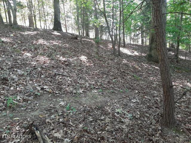 Norris Lake Real Estate - Image# 12