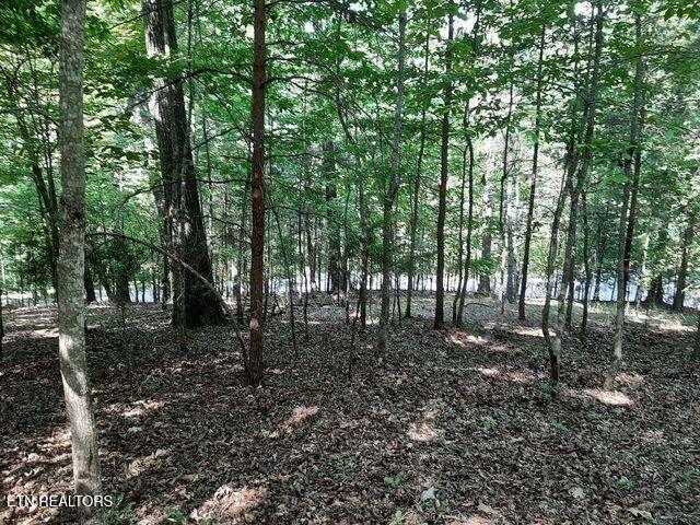 Norris Lake Real Estate - Image# 15