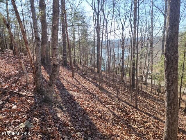Norris Lake Real Estate - Image# 2