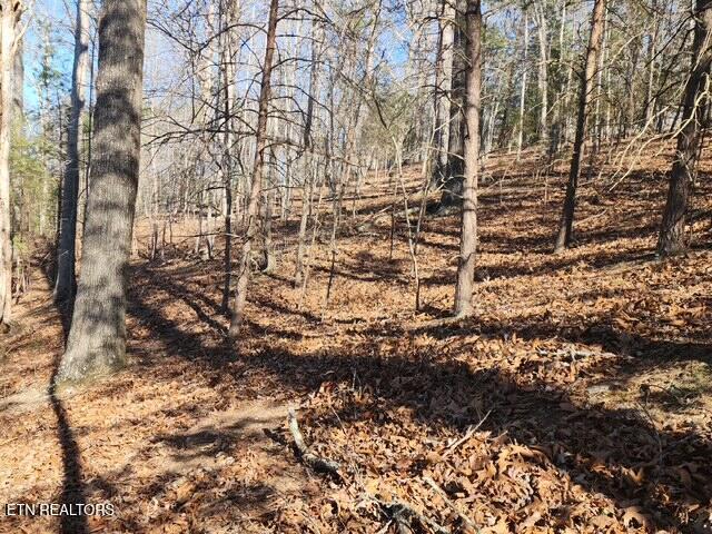 Norris Lake Real Estate - Image# 8