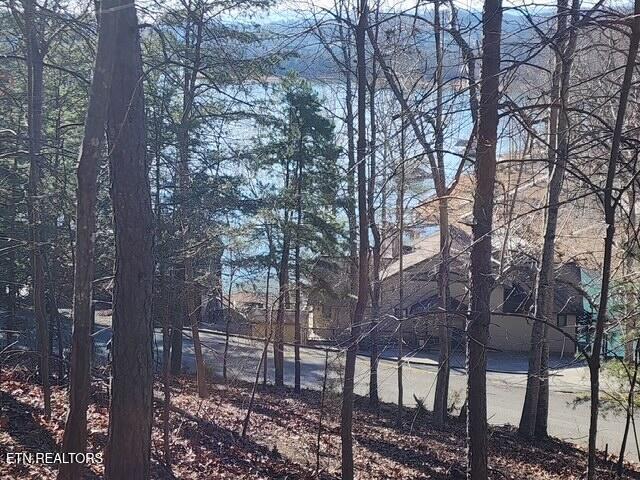 Norris Lake Real Estate - Image# 4