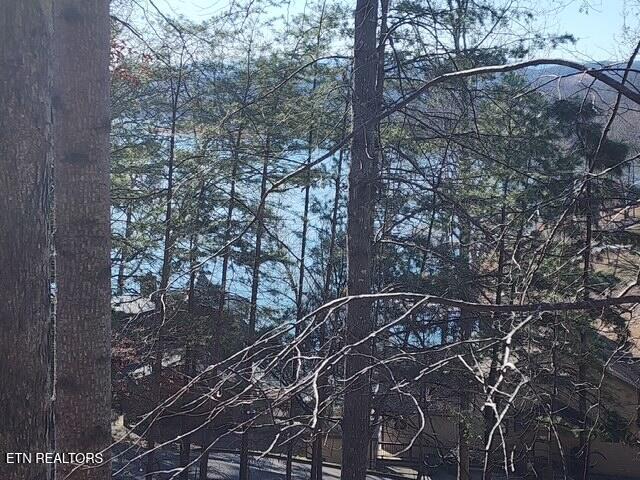 Norris Lake Real Estate - Image# 5