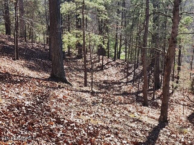 Norris Lake Real Estate - Image# 7