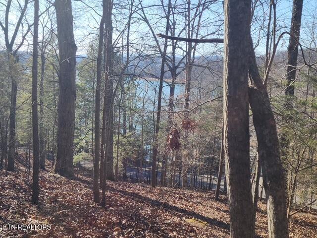 Norris Lake Real Estate - Image# 9